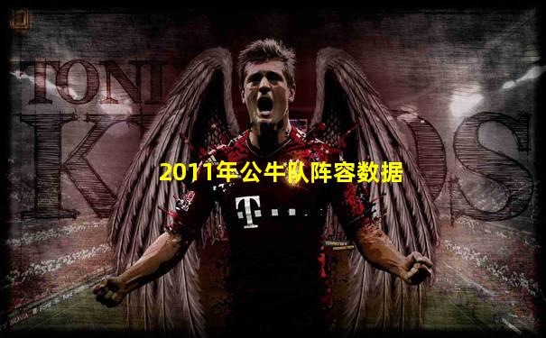 2011年公牛队阵容数据