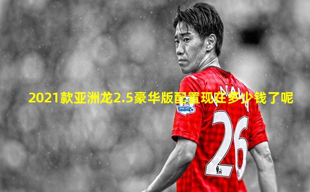 2021款亚洲龙2.5豪华版配置现在多少钱了呢