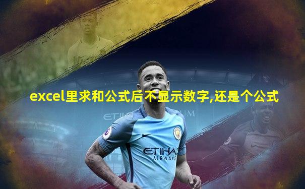 excel里求和公式后不显示数字,还是个公式