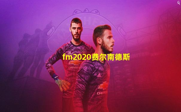 fm2020费尔南德斯
