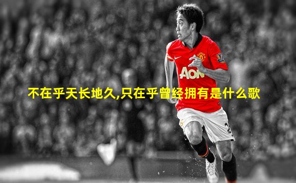 不在乎天长地久,只在乎曾经拥有是什么歌