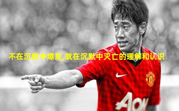 不在沉默中爆发,就在沉默中灭亡的理解和认识