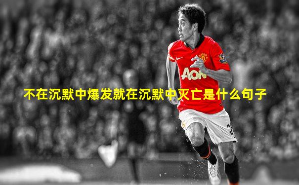 不在沉默中爆发就在沉默中灭亡是什么句子