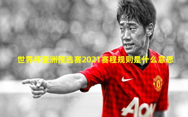 世界杯亚洲预选赛2021赛程规则是什么意思