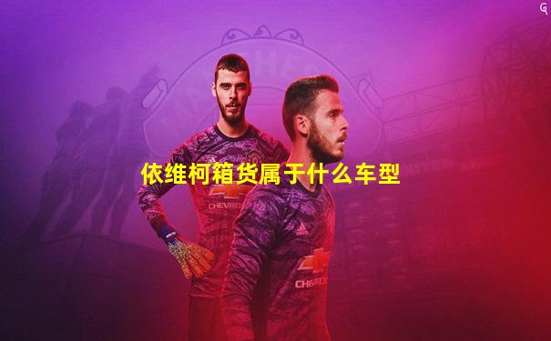 依维柯箱货属于什么车型