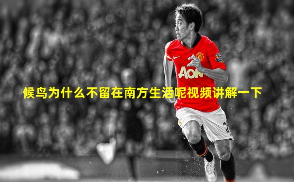 候鸟为什么不留在南方生活呢视频讲解一下