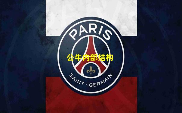 公牛内部结构