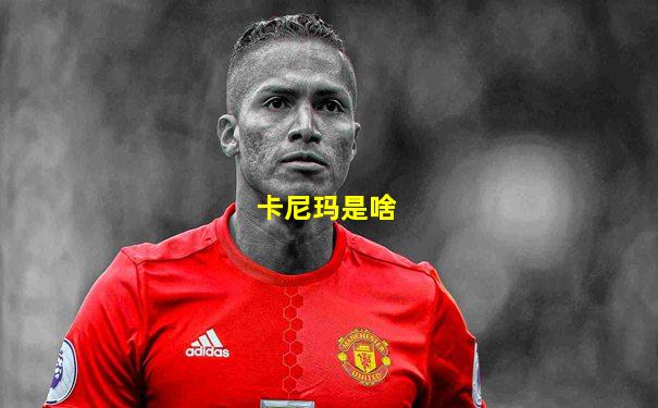 卡尼玛是啥
