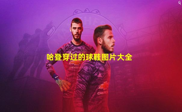 哈登穿过的球鞋图片大全