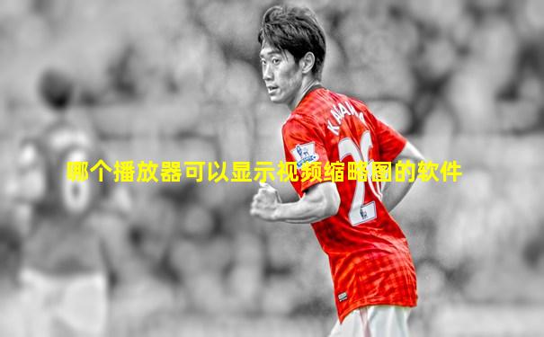 哪个播放器可以显示视频缩略图的软件