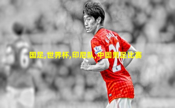 国足,世界杯,印尼队,中国男足比赛