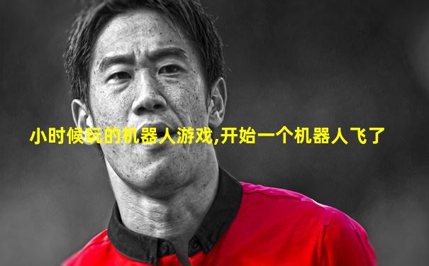 小时候玩的机器人游戏,开始一个机器人飞了