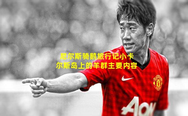 尼尔斯骑鹅旅行记小卡尔斯岛上的羊群主要内容