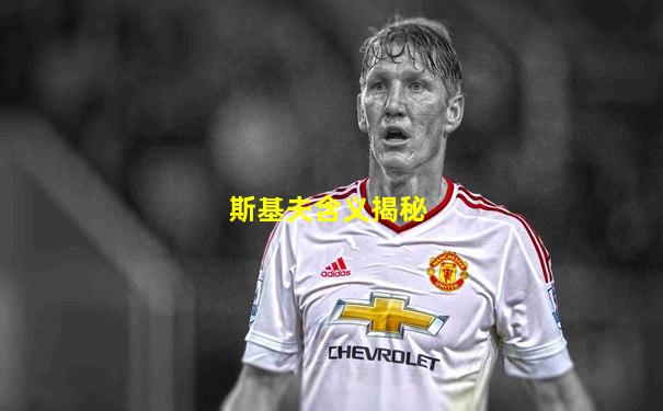 斯基夫含义揭秘