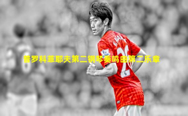 普罗科菲耶夫第二钢琴奏鸣曲第二乐章