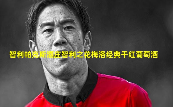 智利帕克斯酒庄智利之花梅洛经典干红葡萄酒