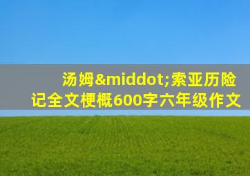 汤姆·索亚历险记全文梗概600字六年级作文