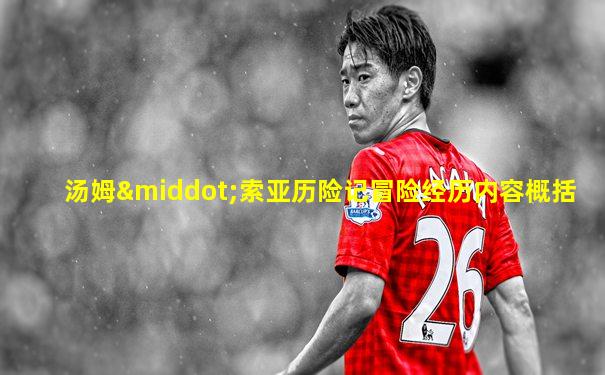 汤姆·索亚历险记冒险经历内容概括