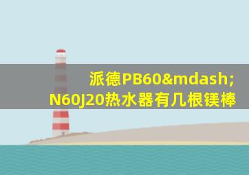 派德PB60—N60J20热水器有几根镁棒