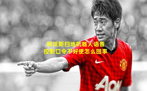 科沃斯扫地机器人语音控制口令不好使怎么回事