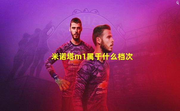米诺塔m1属于什么档次