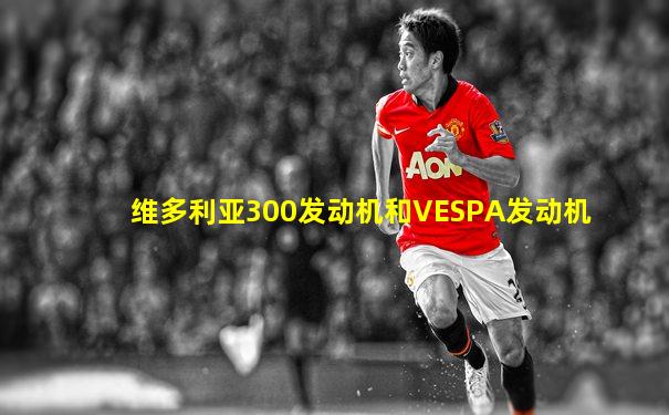 维多利亚300发动机和VESPA发动机