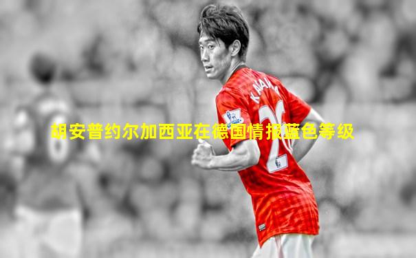 胡安普约尔加西亚在德国情报蓝色等级