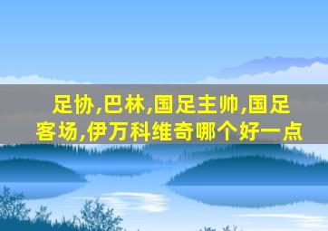 足协,巴林,国足主帅,国足客场,伊万科维奇哪个好一点