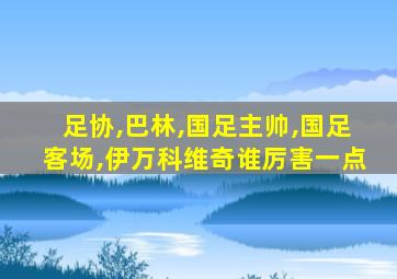 足协,巴林,国足主帅,国足客场,伊万科维奇谁厉害一点