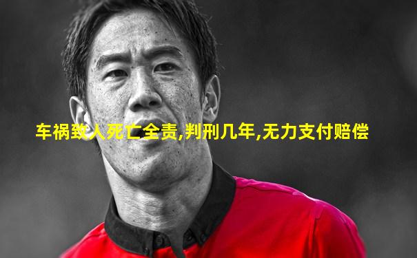 车祸致人死亡全责,判刑几年,无力支付赔偿