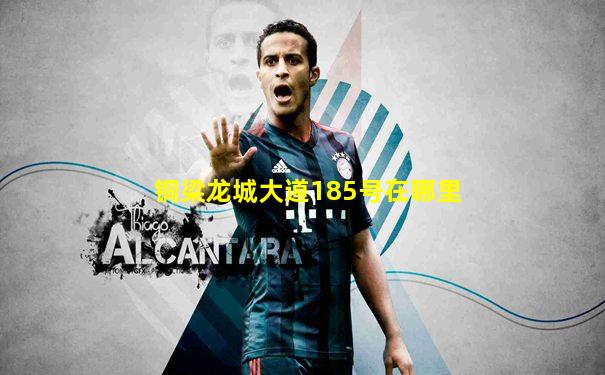铜梁龙城大道185号在哪里