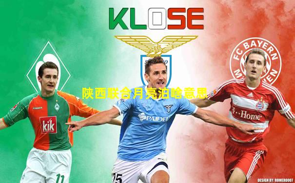 陕西联合月亮泊啥意思