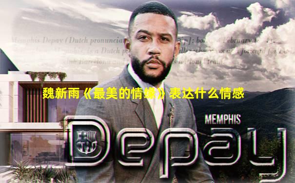 魏新雨《最美的情缘》表达什么情感
