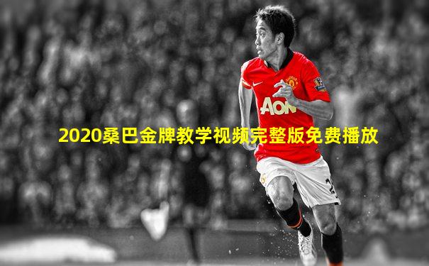 2020桑巴金牌教学视频完整版免费播放