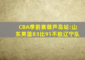 CBA季前赛葫芦岛站:山东男篮83比91不敌辽宁队
