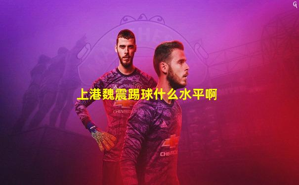 上港魏震踢球什么水平啊