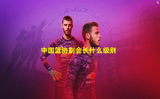 中国篮协副会长什么级别