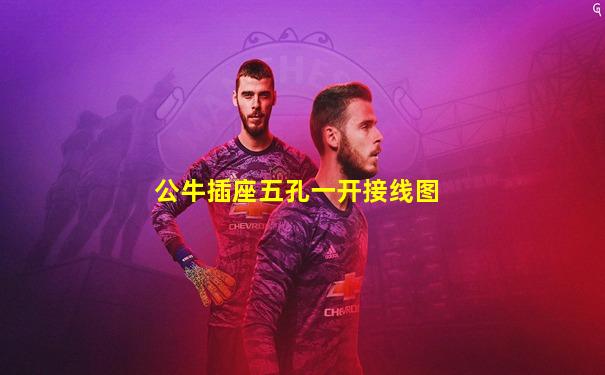 公牛插座五孔一开接线图