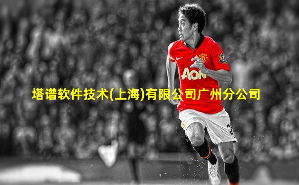 塔谱软件技术(上海)有限公司广州分公司