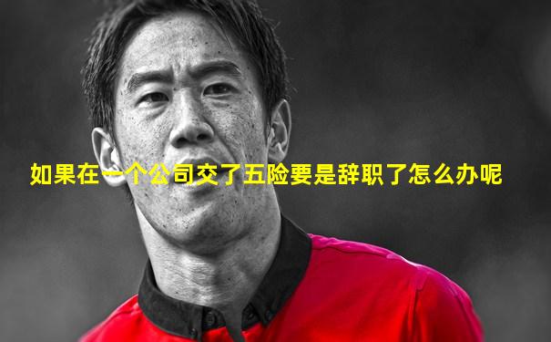 如果在一个公司交了五险要是辞职了怎么办呢