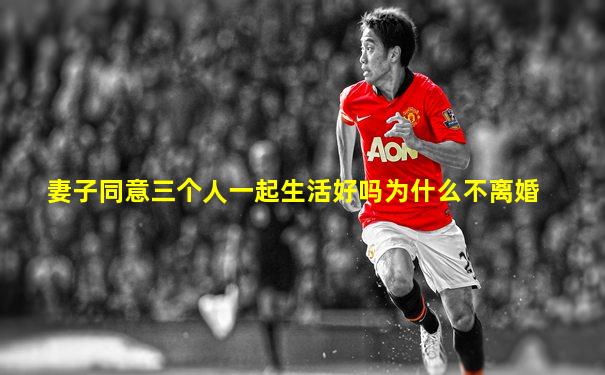 妻子同意三个人一起生活好吗为什么不离婚