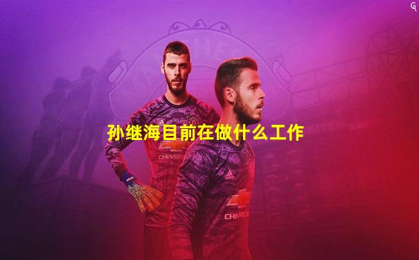 孙继海目前在做什么工作