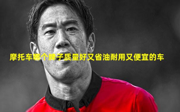 摩托车哪个牌子质量好又省油耐用又便宜的车