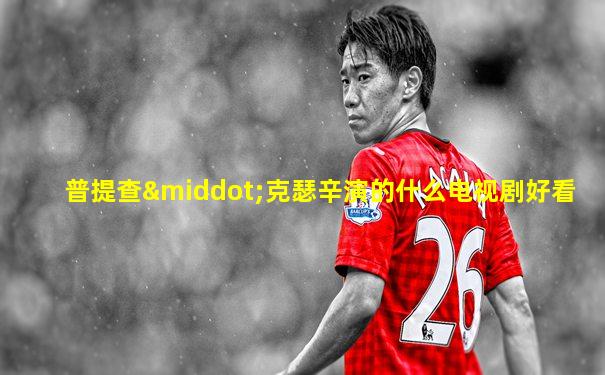 普提查·克瑟辛演的什么电视剧好看