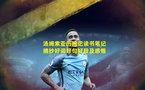 汤姆索亚历险记读书笔记摘抄好词好句好段及感悟