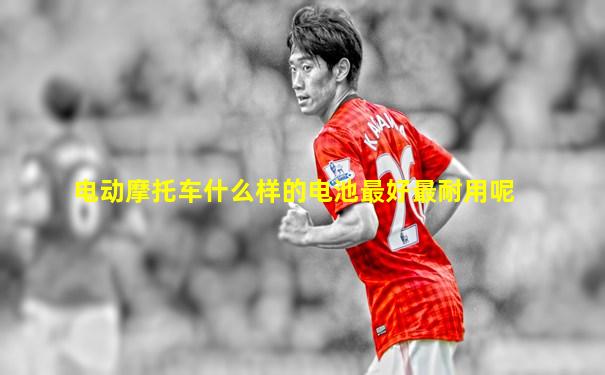 电动摩托车什么样的电池最好最耐用呢