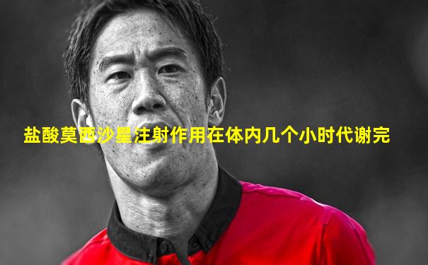 盐酸莫西沙星注射作用在体内几个小时代谢完