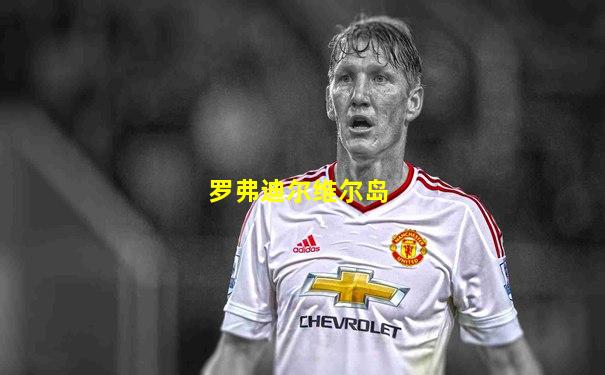 罗弗迪尔维尔岛