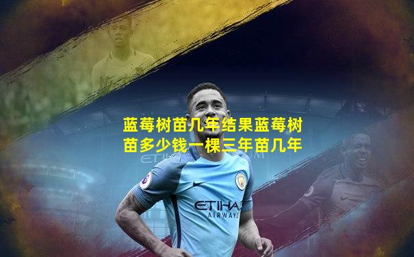 蓝莓树苗几年结果蓝莓树苗多少钱一棵三年苗几年