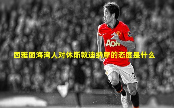 西雅图海湾人对休斯敦迪纳摩的态度是什么